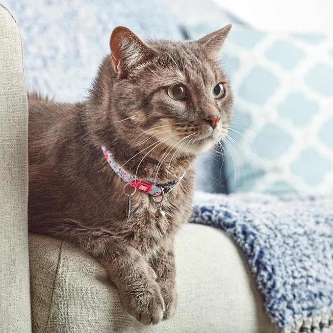 Max & Molly Urban Pets Fun & Pretty Cat Collar w/Jingle Bell, Breakaway Safety Buckle, Adjustable Sizing & Smart ID Personalized Tag for Girl or Boy Cats/Kittens, Cherry Bloom Design (197021)