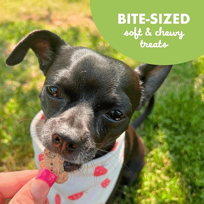 Buddy Biscuits Softies 6 oz. Bag, Soft & Chewy, Natural Roasted Chicken Flavor Dog Treats, Oven Baked in The USA | Soft, Bite-sized Chews, Made with Simple Ingredients, Free of Corn, Soy, Oven Baked in the USA