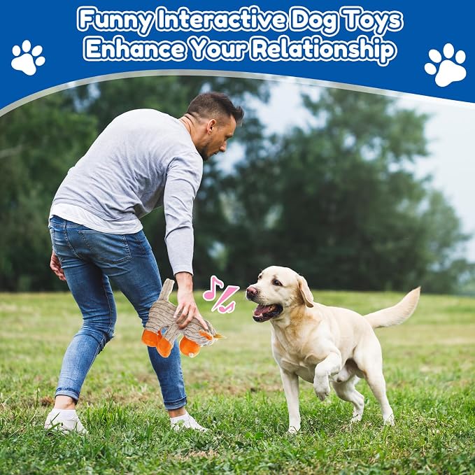 loncoldy Squeaky Dog Toys, Tough Chew Toys for Dogs, Crinkle Interactive Squeaky Stuffed Dog Toy for Medium Small Puppy Breeds, Plush Dog Toy to Keep Them Busy, Pet Toys for Dogs