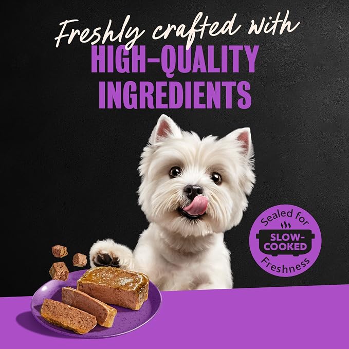Cesar Classic Loaf in Sauce Wet Dog Food Butcher's Selects Variety Pack, Dry-Aged Ribeye Flavor and Filet Mignon Flavor, 3.5 oz. Easy Peel Trays, Variety Pack (12 Count, Pack of 1)