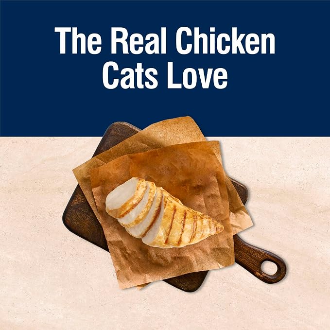Blue Buffalo True Solutions Digestive Care Chicken Dry Cat Food, 3.5 lb | Adult Formula, Clinically Proven Prebiotic Fiber, Vet-Recommended High-Protein