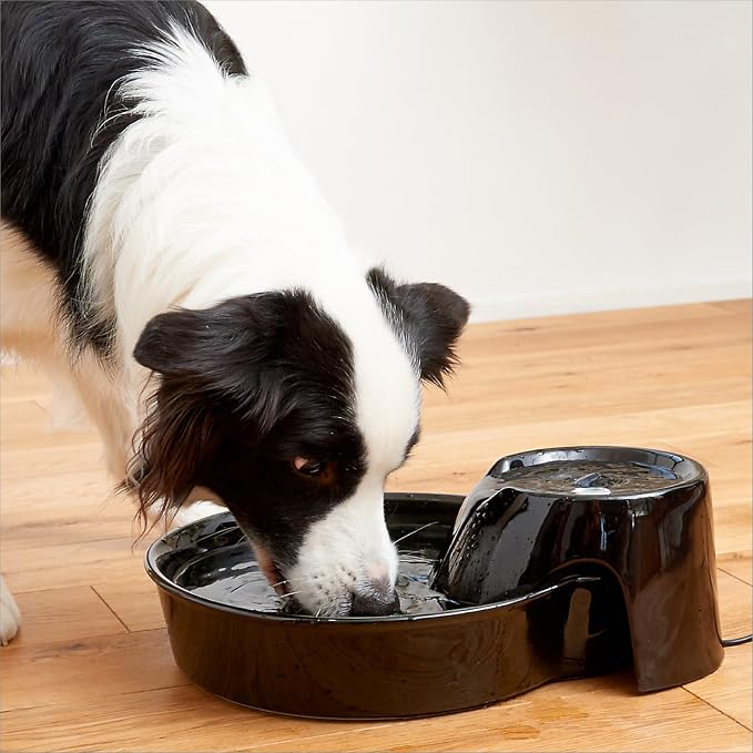 Pioneer Ceramic Drinking Fountain Big Max , 128 oz,Black