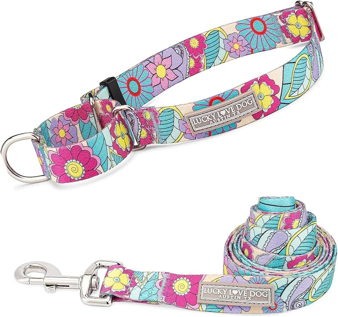 Lucky Love Dog Martingale Collar & Leash Set No Slip Cute – Caroline, Large