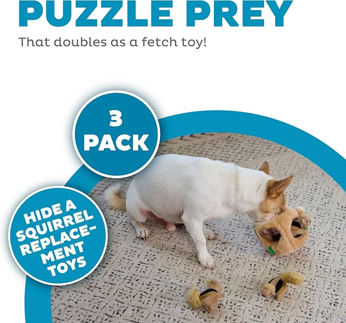 Outward Hound Squeakin' Squirrels Plush Squeaky Dog Toys, 3-Pack, 7"