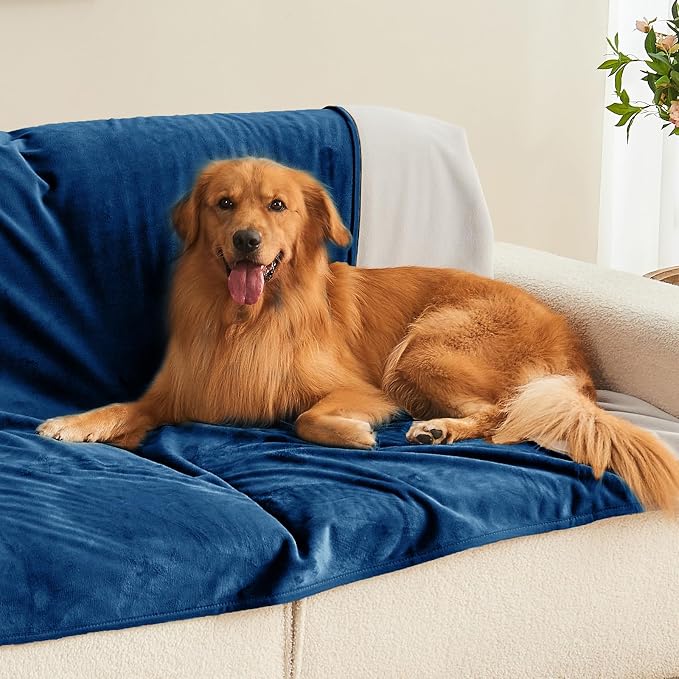 Waterproof Blanket Bed Cover 60"x80" for Adults or Pets, Navy Blue | Soft Pet Blanket for Dogs Cats, Reversible Leakproof Blanket for Bed Couch Sofa, Furniture Protector