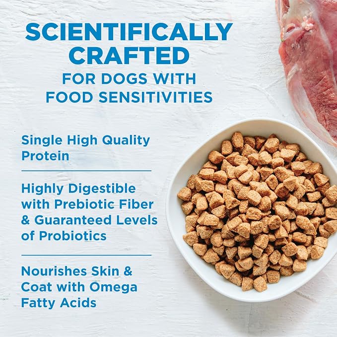 Wellness Simple Limited Ingredient Small Breed Adult Dry Dog Food, Grain Free Kibble, Sensitive Stomach, Skin & Coat Support, Natural, Chicken Free, Salmon and Potato Recipe, 10.5 lb Bag