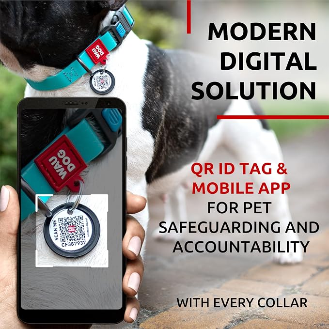WAUDOG Waterproof Dog Collar Airtag Holder QR Tag Small Medium Large Dogs | Water and Dirt Resistant, Quick Dry QR Pet Tag Adjustable Durable Comfort for Male and Female Dogs Outdoor Walking Training