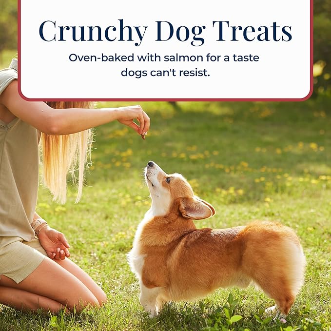 Blue Buffalo Basics Crunchy Dog Biscuits for Skin & Stomach Care, Limited Ingredient Diet Dog Treats, Salmon & Potato Recipe, 6-oz. Bag (Pack of 6)