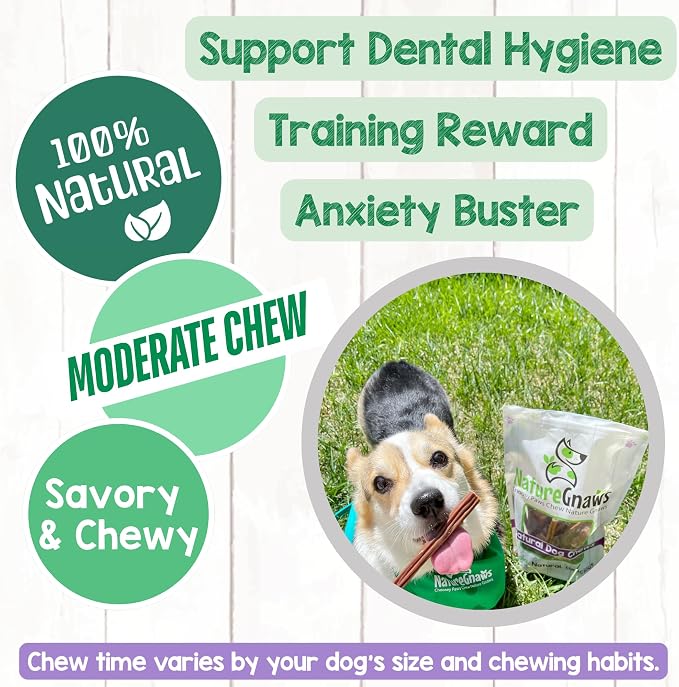 Nature Gnaws Small Bully Sticks 5-6" Rawhide Free Dog Chews, 5 Count | Long Lasting for Light Chewers and Puppies - Natural Thin Beef Dog Chew Bones - No Artificial Preservatives