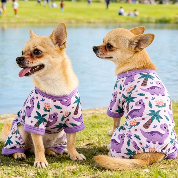 Dog Summer Pajamas Onesie Soft Breathable Puppy Jumpsuit Lightweight Dog Clothes for Small Medium Dogs Cat Pet Clothes(Purple Dinosaur, X-Small)