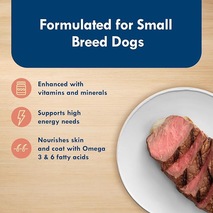 Blue Buffalo Delights Filet Mignon Small Breed Wet Dog Food, 3.5 oz, 12 ct | Adult Formula, Grain-Free, Pate Style, Real Beef First, in Savory Juice, No Corn, Wheat, or Soy