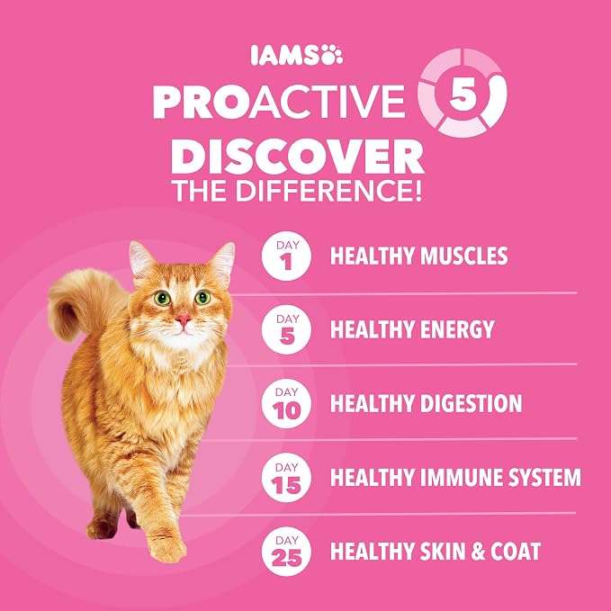 IAMS Proactive Health Sensitive Digestion Dry Cat Food, Turkey, 3 lb | Veterinarian-recommended, Real turkey #1 ingredient, prebiotics & fiber blend, Omega 6 & 3 for coat shine