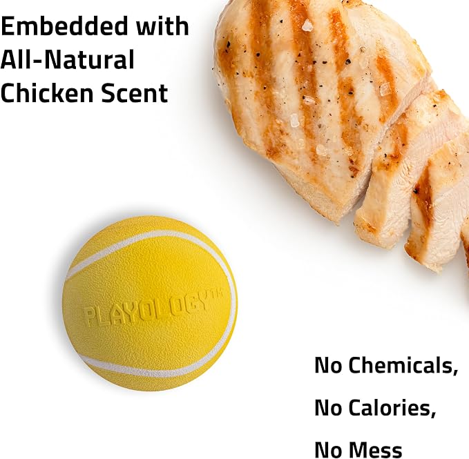 Playology Squeaky Chew Ball Dog Toy - Jumbo, Chicken Scent