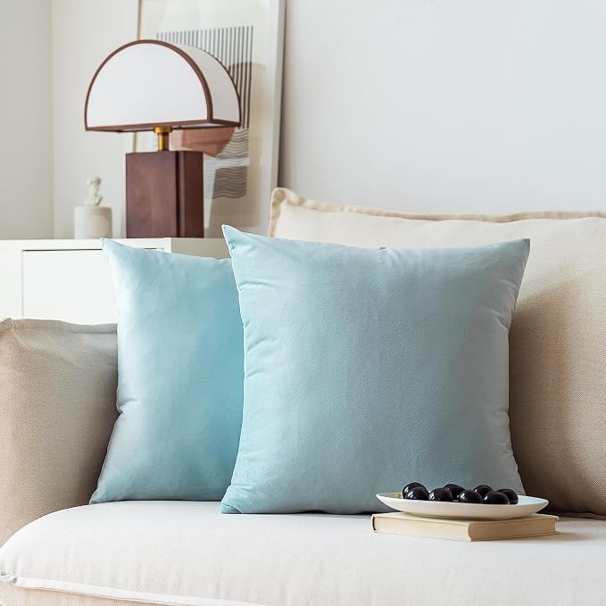 NiNi ALL Babyblue Velvet Throw Pillow Covers 20x20 Pack of 2 Decorative | Soft Solid Boho Cushion Squar Pillow Cases for Chair Sofa Bedroom Farmhouse Living room Modern Luxury Home Decor Christmas