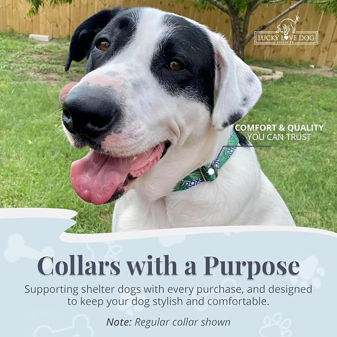 Lucky Love Dog Martingale Collar for Large Dogs Cute – Blue Laguna, Large