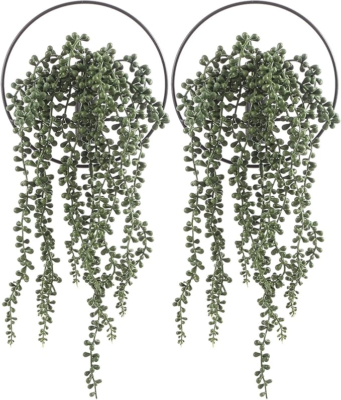 Pretty Jolly Boho Succulent Wall Decor Black Metal Wall-Mounted Art | Morden Artificial Greenery Display，2 Pack Hanging Planter For Living Room, Bedroom, Bathroom, Dining room