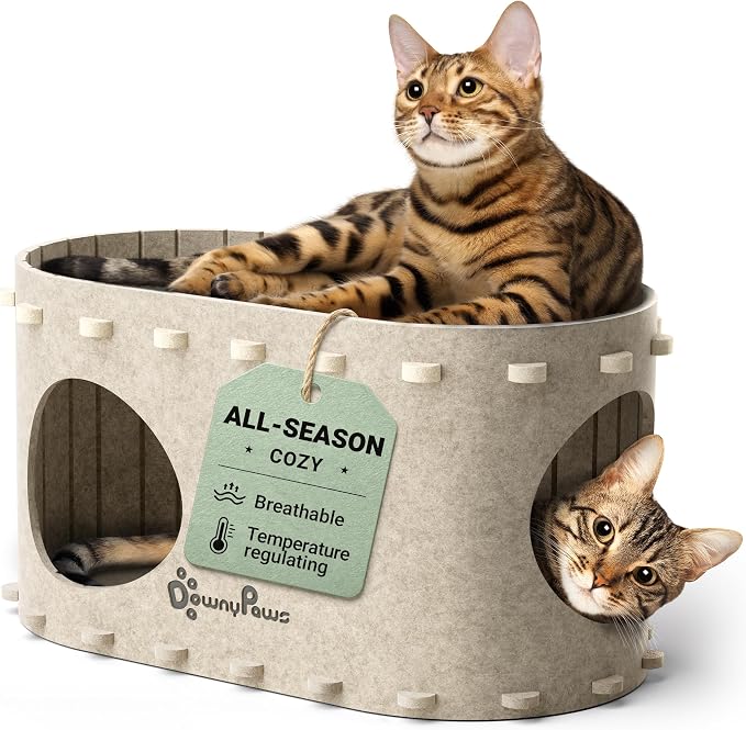 DownyPaws Cat House for Indoor Cats, Peekaboo Cat Bed Cave, Cream | Cat Hideaway Enclosed Bed,Cave Hideout Fort,Kitten Cube Castle Hut Tunnel for Cats,Hide Box Bed for Large Cat Up to 22 Lbs