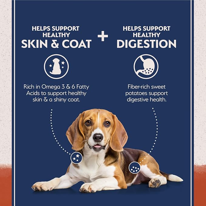 Natural Balance Limited Ingredient Adult Dry Dog Food - Balanced Nutrition for Adult Dogs - Grain-Free, Soy-Free Recipe - Limited Ingredient Formula - 12 lb - Salmon & Sweet Potato Recipe
