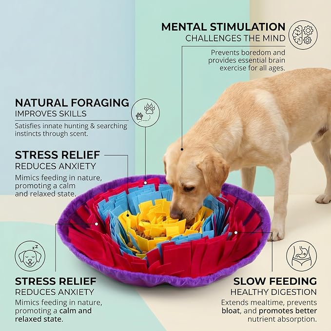 Snuffle Mat for Dogs, Multicolor Dog Enrichment Feeding Mat 19 Inch, Interactive Nose Work Sniff Mat for Dogs Puzzle Toy for Mental Stimulation, Slow Feeding and Anti-Boredom