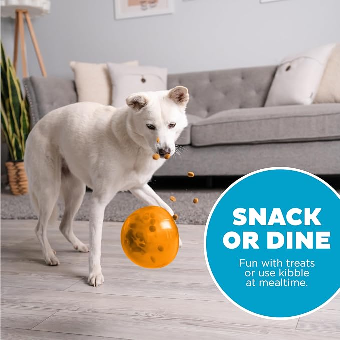 Outward Hound Snoop Interactive Treat Dispensing Dog Toy, Orange, 5" | Rolls & Bounces, Treat Stuffer, Puzzle Ball & Slow Feeder, Enrichment, Mint Scented, Easy Clean, No BPA, Medium to Large Dogs