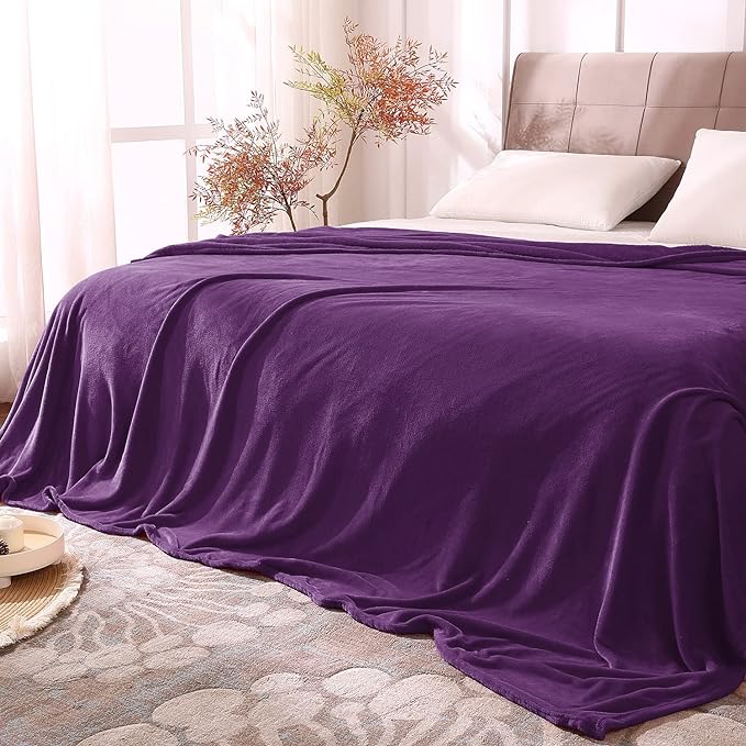 BEDELITE Fleece Blanket Soft Plush Queen Size Bed Blanket Purple 90"x90" | Ultra Soft Fleece, Plush Microfiber, Lightweight Warmth, All Season Comfort, Fade Resistant, Machine Washable,Perfect for Bed