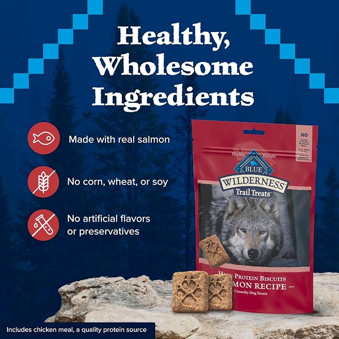 Blue Buffalo Wilderness Salmon Crunchy Dog Biscuits, Grain-Free, 10 oz | Real Salmon #1 Ingredient, Crunchy Biscuits, High Protein Nutrition, No Artificial Preservatives