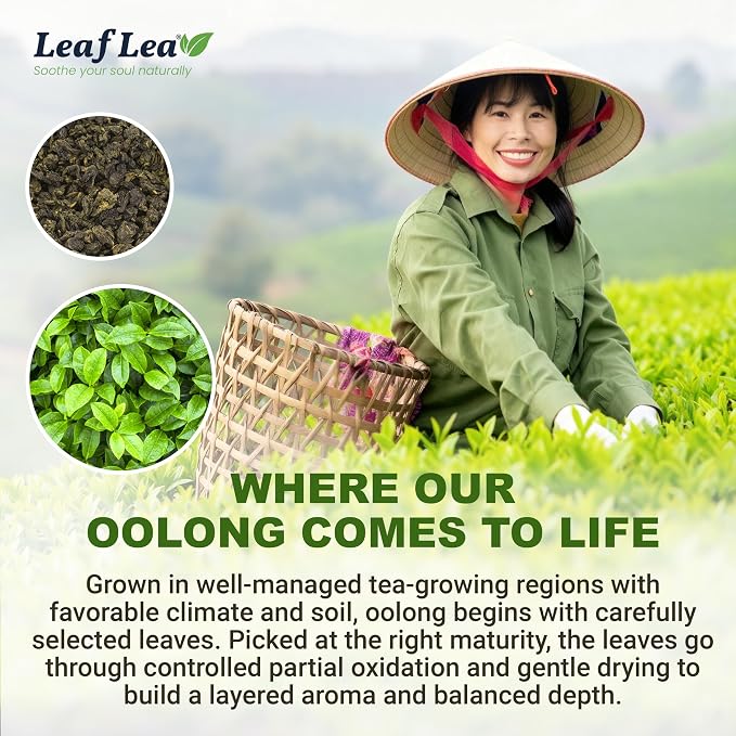 LeafLea Oolong Tea Bags, Post-Meal Comfort & Daily Ease, 80 Count | Te Oolong From Whole Camellia Sinensis Leaves, Mellow Golden Cup, Caffeinated, Sugar-Free, Individually Wrapped