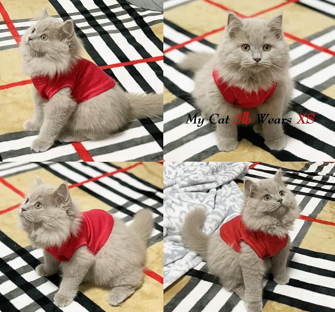 3pcs Dog Shirts Cats Clothes Sleeveless Blank Vest Apparel Extra Small Pet | Soft and Breathable Cat Outfits; Cat Clothing; T-Shirt for Puppy Small Medium Dogs and Cats; Solid Color Tank Top Costumes