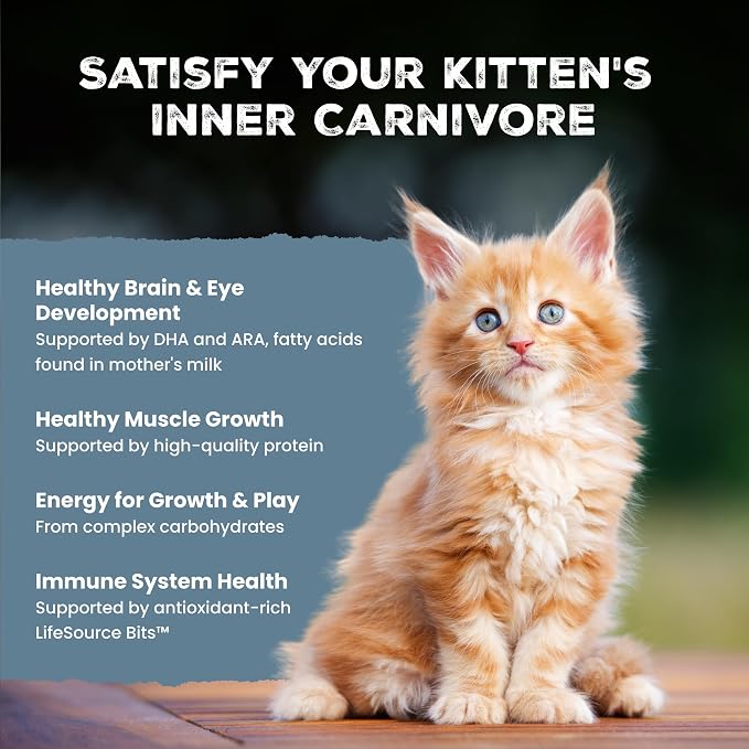 Blue Buffalo Wilderness Chicken Kitten Dry Cat Food, Grain-Free, 5 lb | High Protein, Real Chicken #1 Ingredient, DHA & ARA for Brain and Eye Development, Antioxidant-Rich LifeSource Bits