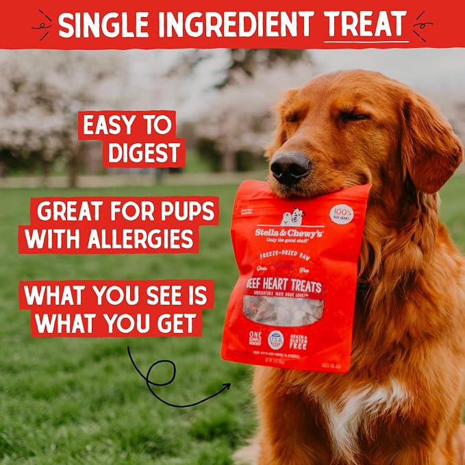 Stella & Chewy's Freeze-Dried Raw Beef Heart Dog Treats - Single Ingredient, No Additives - Premium Training Treats - Perfect for Picky Eaters - 3oz Bag