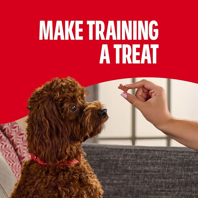 Milk-Bone Soft & Chewy Dog Training Treats, Mini Size, 18 Oz. Bag | Made with real filet mignon, chewy dog treats for dogs of all ages and sizes including puppies