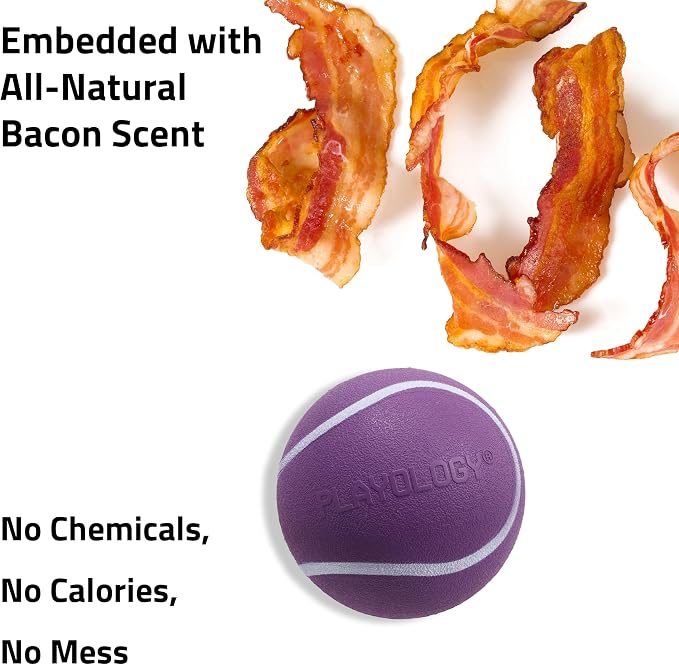 Playology Squeaky Chew Ball Dog Toy - Medium, Bacon Scent
