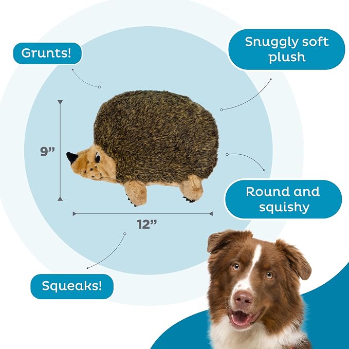 Outward Hound Hedgehogz Plush Dog Toy, Squeaks & Grunts, XL, 12" x 9" | Soft Realistic Faux Fur, Round for Rolling & Chasing, Cuddle & Carry, Interactive Fetch, Light Chewers, Dogs & Puppies
