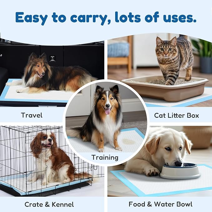 FluffyDream Super Absorbent Waterproof Dog and Puppy Pet Training Pad, Housebreaking Pet Pad,Blue (22"x22"(100PCS))