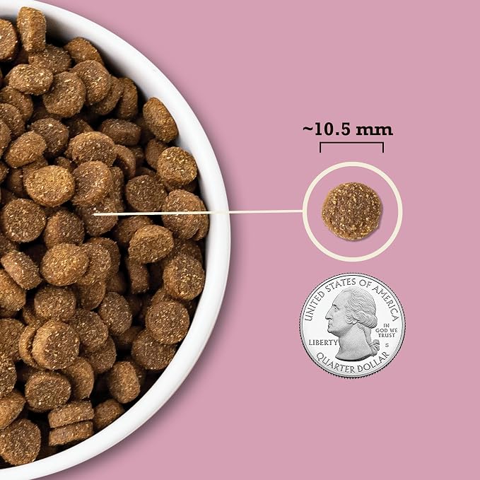 ACANA Wholesome Grains Dry Dog Food Small Breed Recipe 11.5lb Bag | Made in the USA, Includes Probiotics, Omega-3 Fatty Acids, Free-Run Poultry, Small Breed Dogs, Global Quality Ingredients