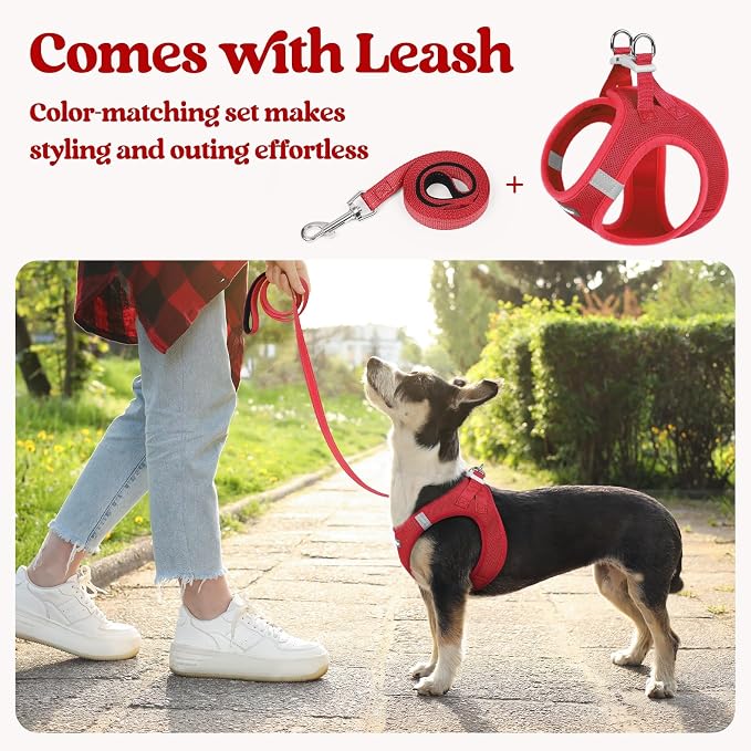rabbitgoo Dog Harness Medium Sized and Leash Set, Step-in Puppy Pet Vest | Light, Soft, Breathable Air Mesh, Easy on and Remove with Hook & Loop, Secure Reflective for Walking, Red XXL