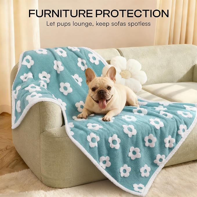 Luciphia Waterproof Dog Blanket for Small Dogs Cats Soft Reversible Fleece | Puppy Pet Blanket, Indoor Cats, Washable Cute Cozy Throw, Bed Cover, Couch Furniture Protector Gift(57" x 40", Blue)