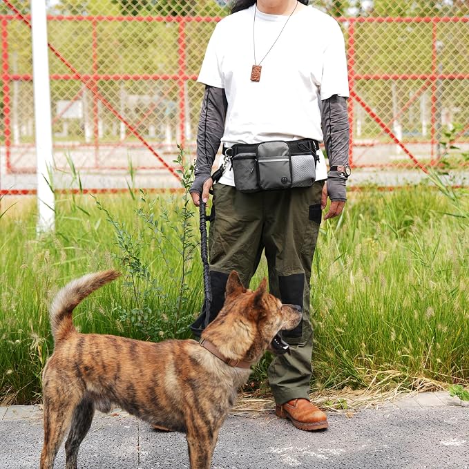 Dog Treat Pouch for Training – Hands-Free Waist Belt with Built-in Poop Bag Dispenser, Water Bottle Holder & Phone Pocket, Includes Reflective Bungee Leash (Gray)
