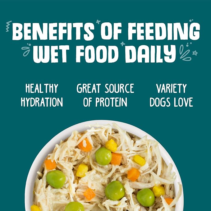 Weruva Classic Dog Food, Funky Chunky Chicken Soup with Chicken Breast & Pumpkin in Gravy, 5.5oz Can (Pack of 24)