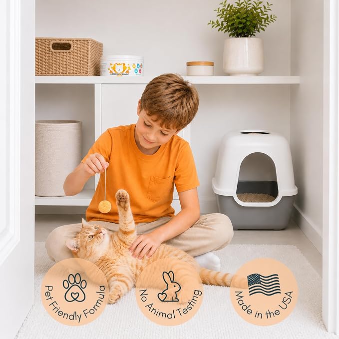 Litter Box Magic Cat Litter Deodorizer Gel, Orange Scent, 16 Oz, Pack of 1 | Odor-Absorbing Gel Jar Neutralizes Cat Litter Box Odors with a Fresh Orange Scent. Multi-Cat Smell Eliminator. Non-Toxic.