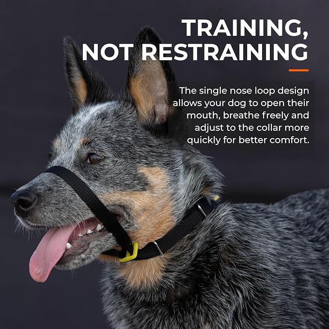 Canny Gentle No-Pull Dog Training Head Collar to Stop Pulling Blue Size 4
