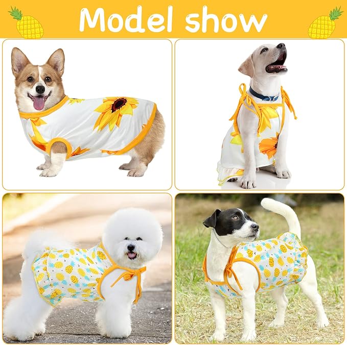 Frienda 4 Pieces Dog Clothes Set Include 2 Pcs Cute Pet Dress Lovely Dog Dress and 2 Pcs Breathable Pet T Shirt Puppy Clothes(Pineapple, Sunflower,Large)