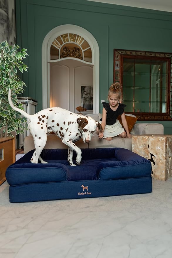 NOAH & PAW XL Dog Bed, 45x35x11 Inch, Orthopedic Large Dog Beds, Eggshell Memory Foam Infused with Cooling Gel, Inner Cover, Water Resistant, Machine Washable (Denim Sofa Collection)