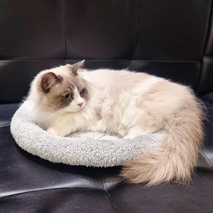 Enjoying Plush Cat Bed Mat, 15.75" Round, Self Warming Dog Bed with Pillow, Puppy Kitty Relying/Curling Sleep Cushion, Warm Bed for Small to Medium Dogs Cats Rabbits, Antiskid Bottom, Medium