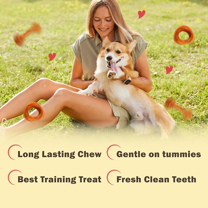 VITADAY All Natural Turkey Tendon Dog Treats Ring (S) 20 Pcs (2 Pk) | Long-lasting dog training treats, Rawhide-free made of USA-sourced turkey