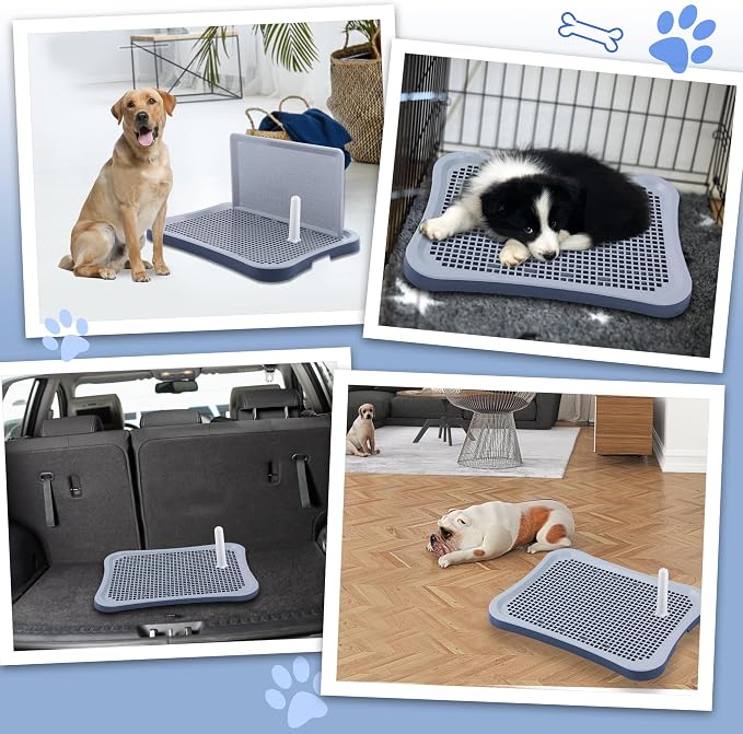 Pee Pad Holder, Indoor Potty Tray for Puppy and Small Size Dog with Pee Wall, Non-Skid Feet, 20x15.4x1.4 inch (Medium)