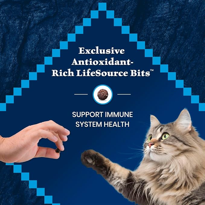 Blue Buffalo Wilderness Salmon Adult 7+ Dry Cat Food, Grain-Free, 5 lb | High Protein, Real Salmon #1 Ingredient, Supports Immunity with Antioxidant-Rich LifeSource Bits, Natural Ingredients