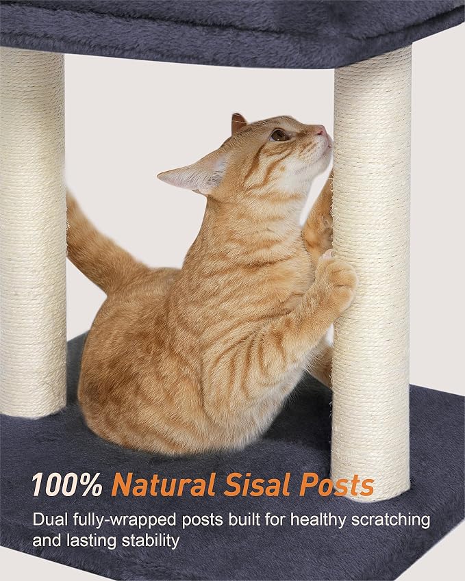 19" Small Cat Tree with Scratching Post for Indoor Cats with Perch | Dark Gray, Removable 19"×15.8" Perch Bed, Dual Natural Sisal Scratcher,Small Cat Tower,Space-Saving