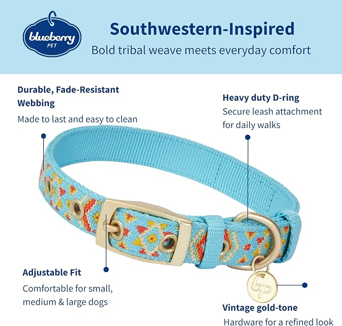 Blueberry Pet Southwestern Tribal Print Celeste Blue Adjustable Dog Collar with Metal Buckle, Neck 13-16.5", for Medium Breed