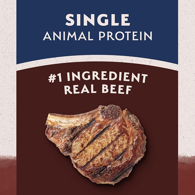 Natural Balance Limited Ingredient Dry Dog Food - Complete Nutrition for Adult Dogs - Wholesome Grains Brown Rice Recipe - Limited Ingredient Formula - 4 lb - Beef & Brown Rice